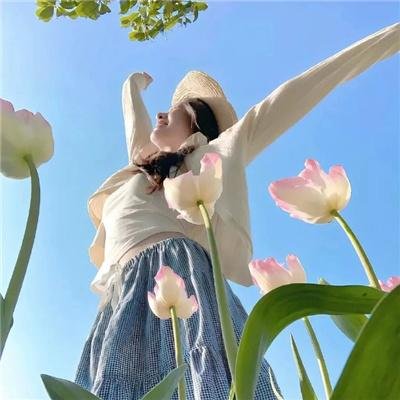 蜘蛛的策略